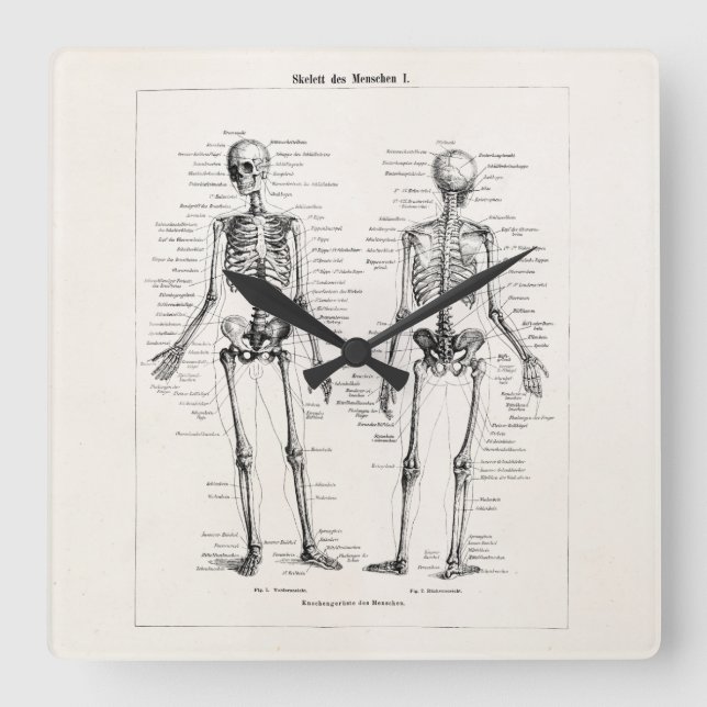 Relógio Quadrado Vintage Skeleton Anatomia Humana Ossos Crânio (Frente)