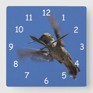 Relógio Quadrado Voo do Hummingbird