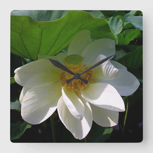Relógio Quadrado Wall Clock with delicate white Lotus Flower (Frente)