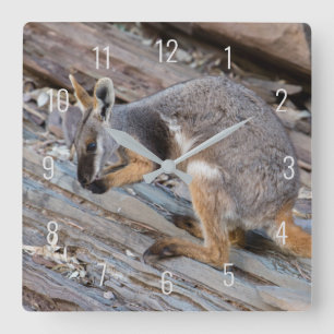 Relógio Quadrado Wallaby de Pé Amarelo Canguru Austrália