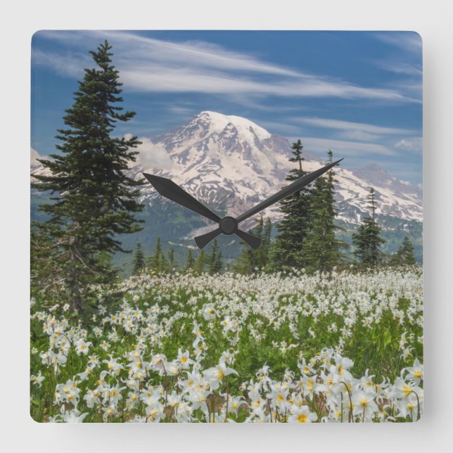 Relógio Quadrado Washington, Parque Nacional Mount Rainier 1 (Frente)
