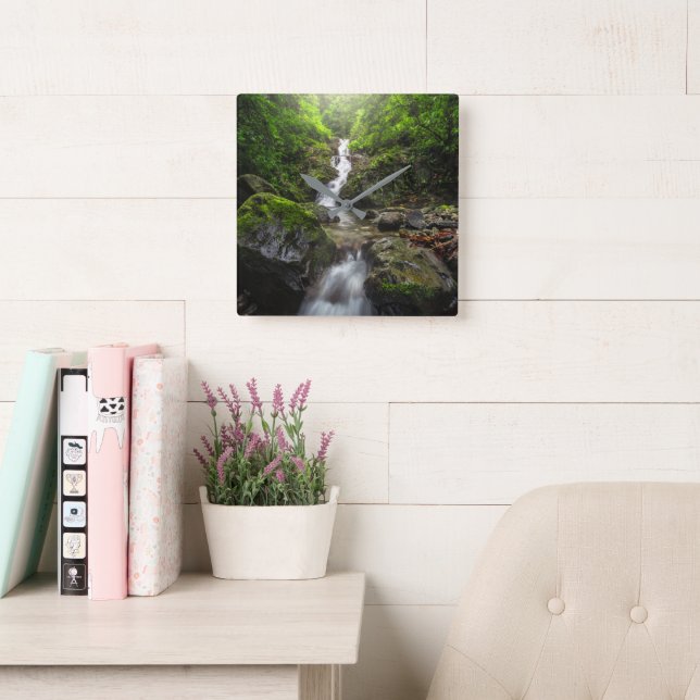 Relógio Quadrado Waterfalls | Phayao Mountain National Park (Sala de leitura)