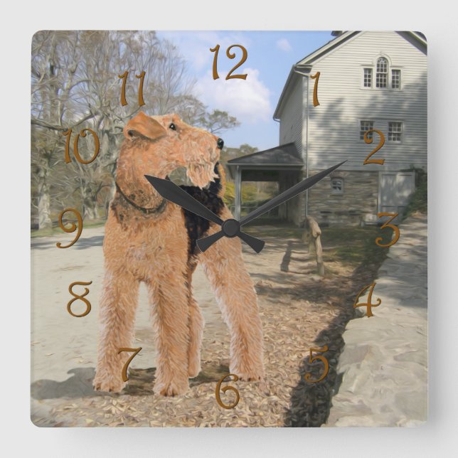 Relógio Quadrado Welsh Terrier no Pátio Estável (Frente)