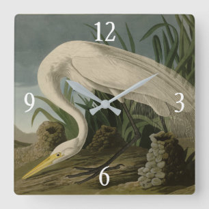 Relógio Quadrado White Heron, Egret Excelente, Aves de Audubon da A