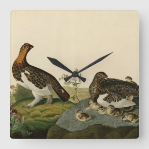 Relógio Quadrado Willow Grous (Grouse) - Audubon's Birds of America