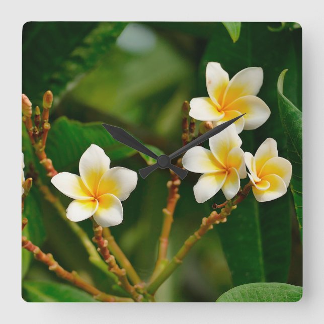 Relógio Quadrado Yellow Frangipani (Frente)