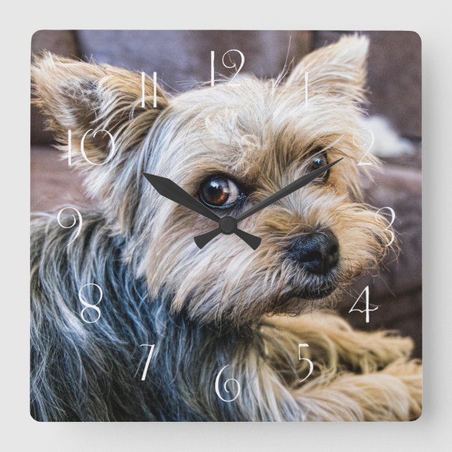 Relógio Quadrado Yorkshire Terrier (Frente)