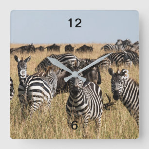 Relógio Quadrado Zebra de Grant