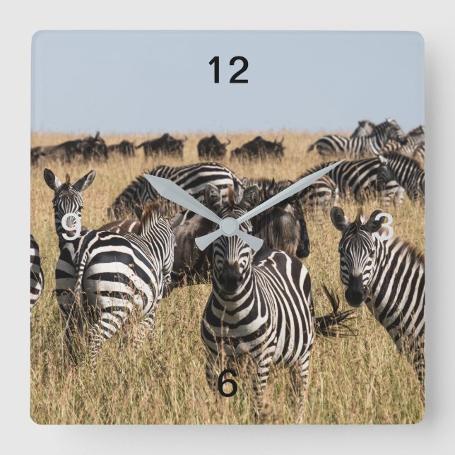 Relógio Quadrado Zebra do Grant (Frente)