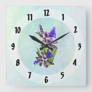 Relógio Quadrado Zygo Advance Austrália HOF