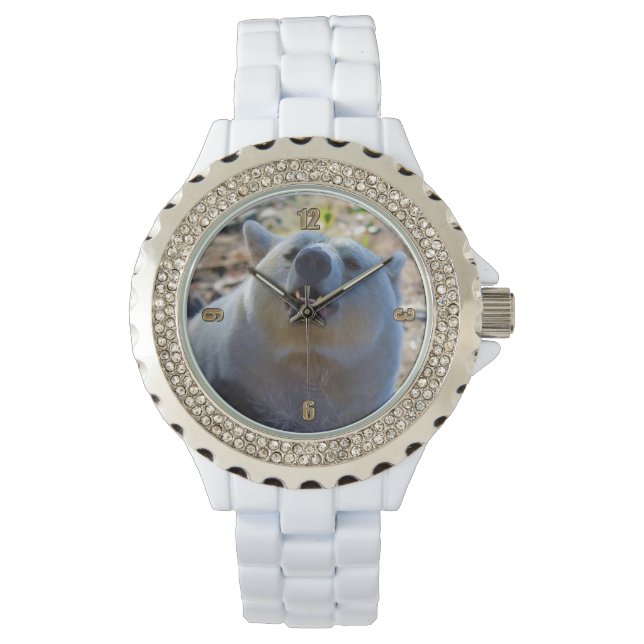 Relógio Rare Kermode Bear (Spirit Bear) (Frente)