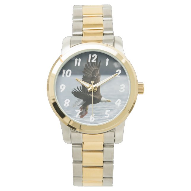 Relógio Recuperação de Peixes de Águia-Cálida (Frente)