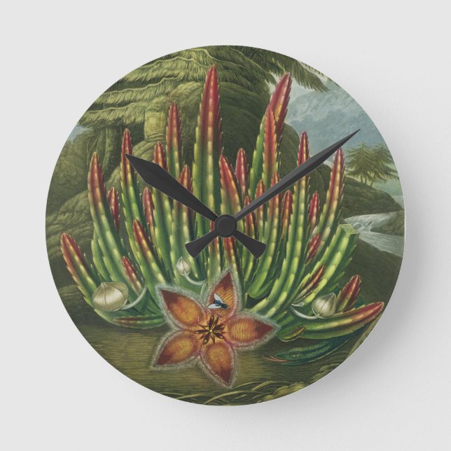 Relógio Redondo A Stolapia Maggot, gravada por Stadler, (Frente)