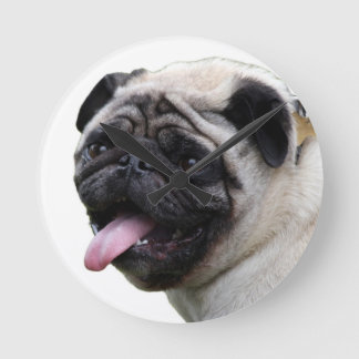 Relógio Redondo Acessórios de fotos de Pug branco e bonito, adicio