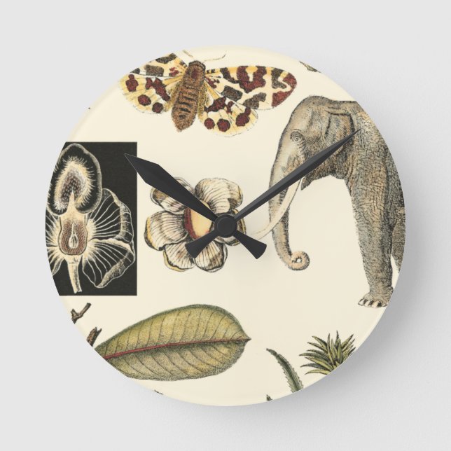 Relógio Redondo Animais Agrupados Pintados em Fundo de Nata (Frente)