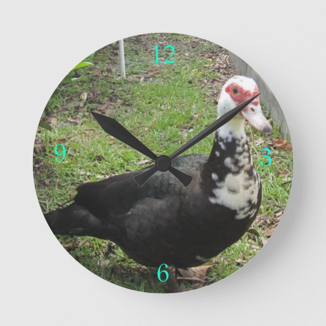 Relógio Redondo Apenas um Qwack a tempo (Frente)