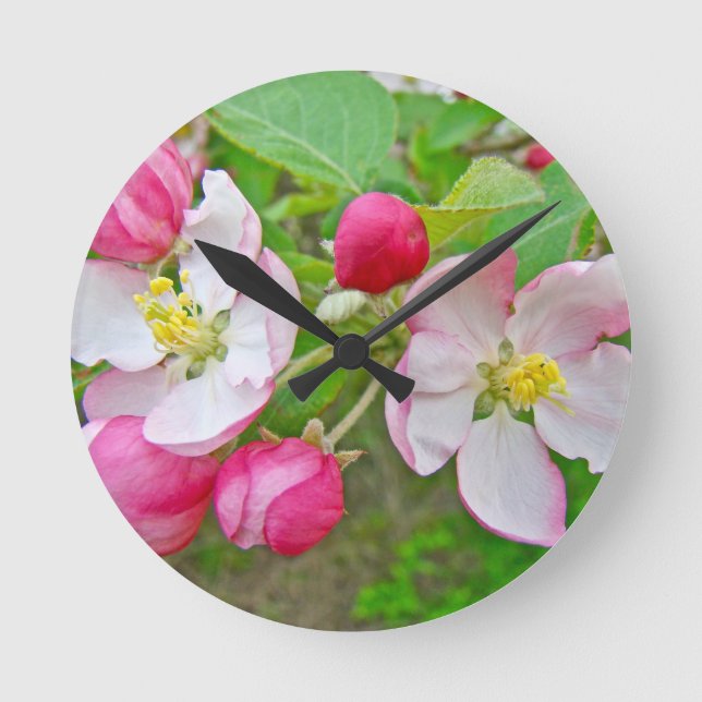 Relógio Redondo Apple Blossom Time (Frente)