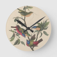 Arte Colorida de Pássaros Vintage Audubon Pintada