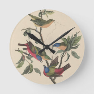 Relógio Redondo Arte Colorida de Pintassilgo Pintado Audubon Vinta