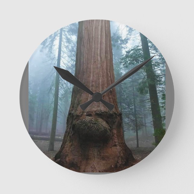 Relógio Redondo Árvore Sequoia Gigante em Grant Grove, CA (Frente)