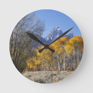 Relógio Redondo Árvores de Aspen com a cordilheira Teton