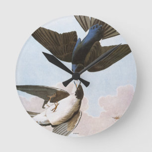 Relógio Redondo Audubon: Andorinha de árvore