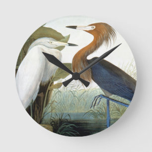Relógio Redondo Audubon: Egret avermelhado ou garça-real roxa