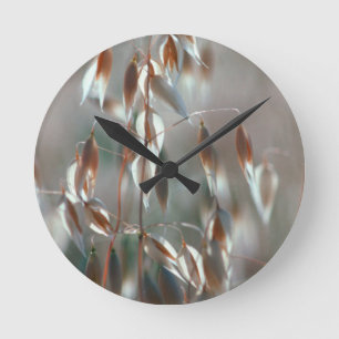 Relógio Redondo Aveia De Ripe (Avena Sativa) Fechar. Ceres, Boland