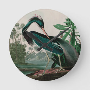 Relógio Redondo Aves do Herão da Louisiana da Impressão de Audub