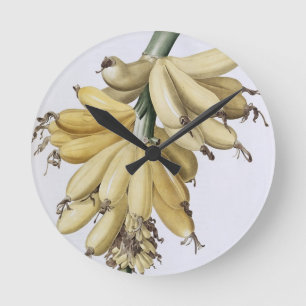Relógio Redondo Banana, 1816