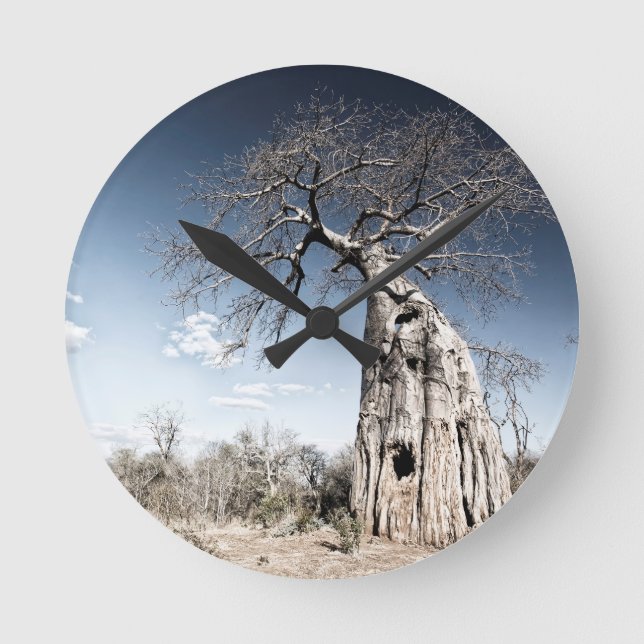 Relógio Redondo Baobab Tree no Parque Nacional de Mana Piscina, Zi (Frente)