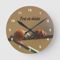 Beijar Damybugs Numa Cerca De Fio Personalizada