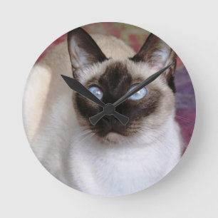 RELÓGIO REDONDO BELEZA SIAMESE