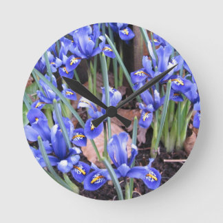 RELÓGIO REDONDO BELO IRIS