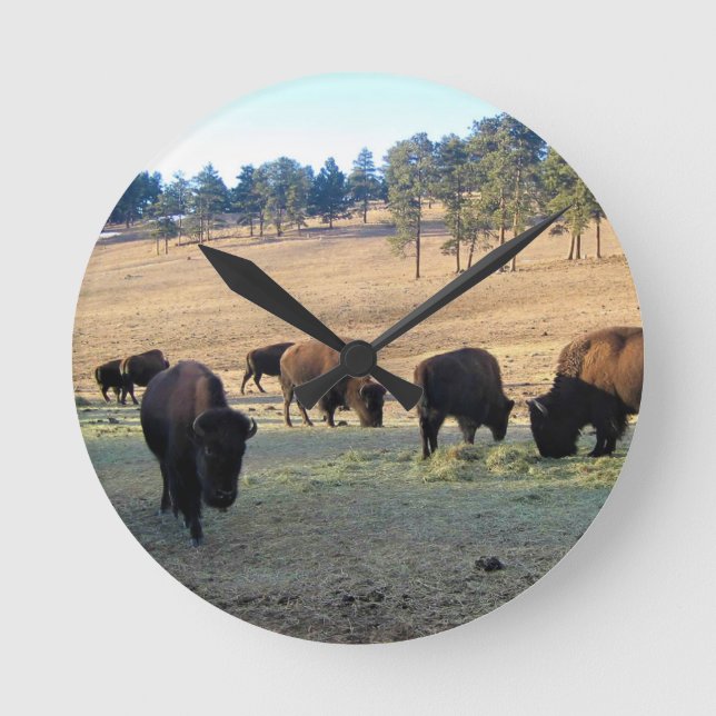 Relógio Redondo Bison no Colorado (Frente)