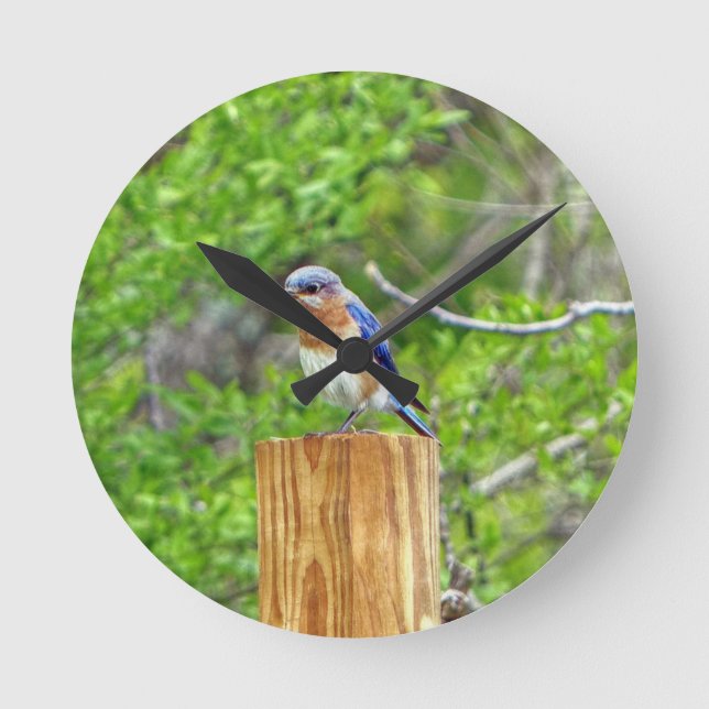 Relógio Redondo Bluebird em Posto de cerca (Frente)