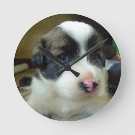 Relógio Redondo Cachorro Muito Jovem Parecendo Fofo