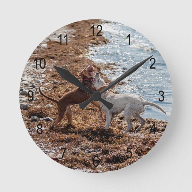 Relógio Redondo Cães na praia (Frente)