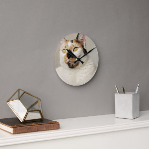 Relógio Redondo Calico Cat