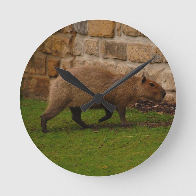 Relógio Redondo capybara (Frente)