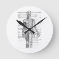 Carta humana da anatomia