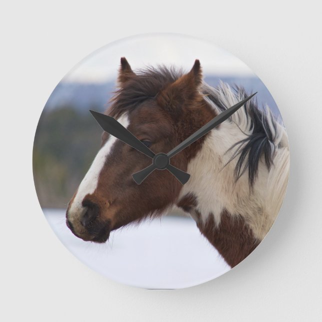 Relógio Redondo Cavalo com três cores (Frente)