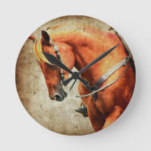 Cavalo Ocidental