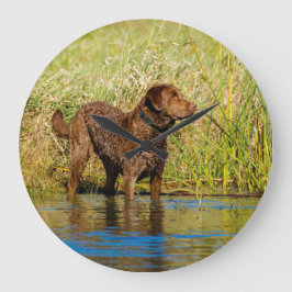 Relógio Redondo Chesapeake Bay Retriever Hunting Dog Wall Clock