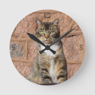 Relógio Redondo Church Cat
