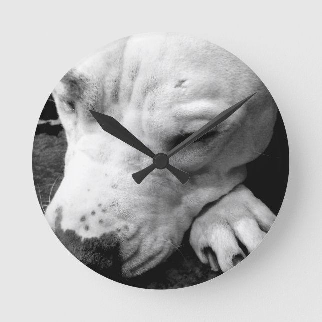 Relógio Redondo cicatriz do harry potter cachorro pit bull branco (Frente)
