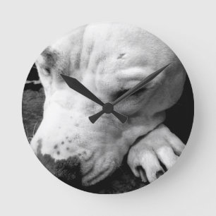 Relógio Redondo cicatriz do harry potter cachorro pit bull branco