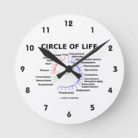 Círculo De Vida (Árvore Filogenética Circular)