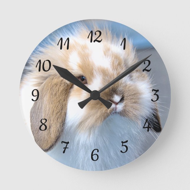 Relógio Redondo Coelho branco-flamengo-cavo (Frente)