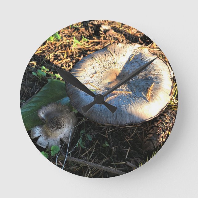 Relógio Redondo Cogumelos, Oregon (Frente)